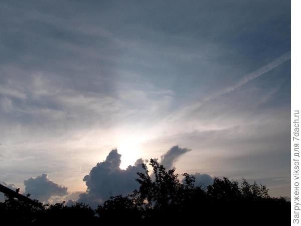 И видятся мне головы загадочных существ...