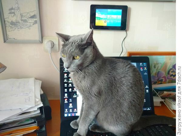 Интересно, с кем я рядышком окажусь?