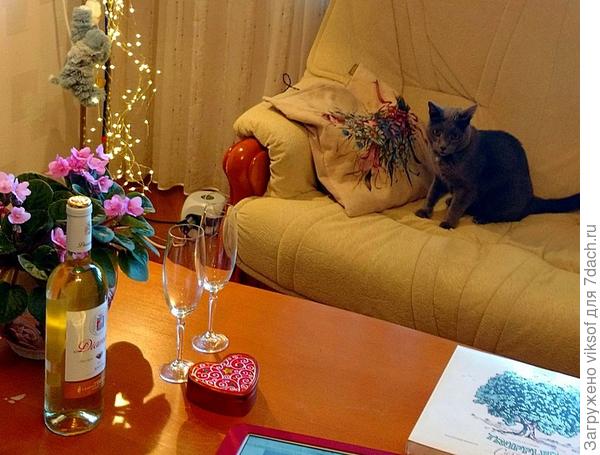 Баушка София и кот Витас