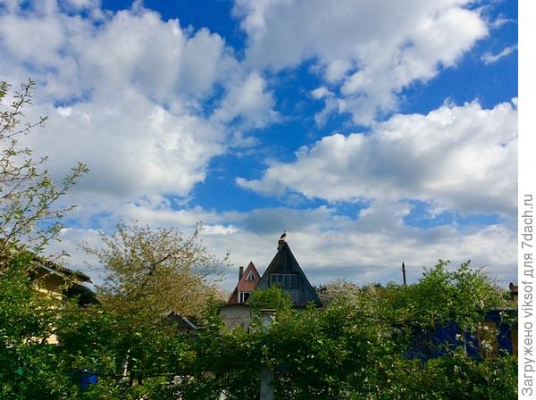 Весна на даче!