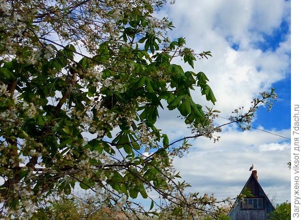 Прекрасного настроения и всего самого доброго!