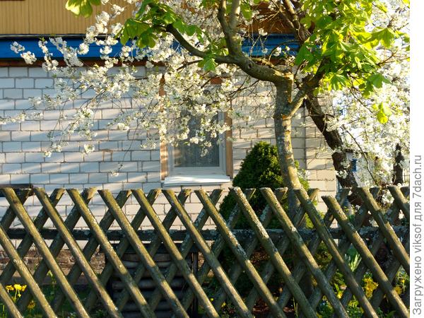 Остальные фото документыпоробую с телефона по дороге на дачу с телефона, за качество - извините!