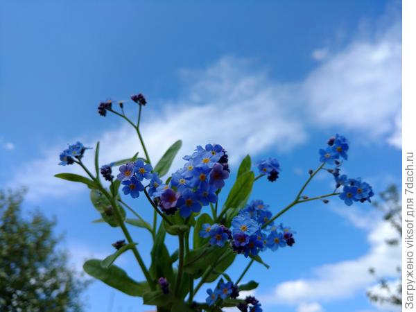 Я на минутки появилась дома с нормальным интернетом