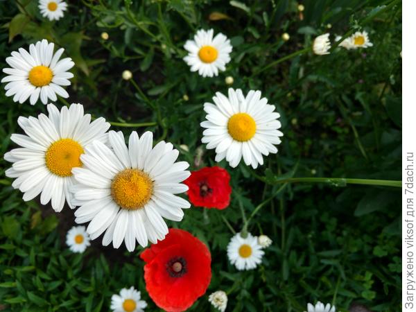 А лето-то пришло, доброй погоды!