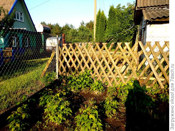 Отдельные фрагменты установили со стороны соседа, закрылись от их хоз. построек,