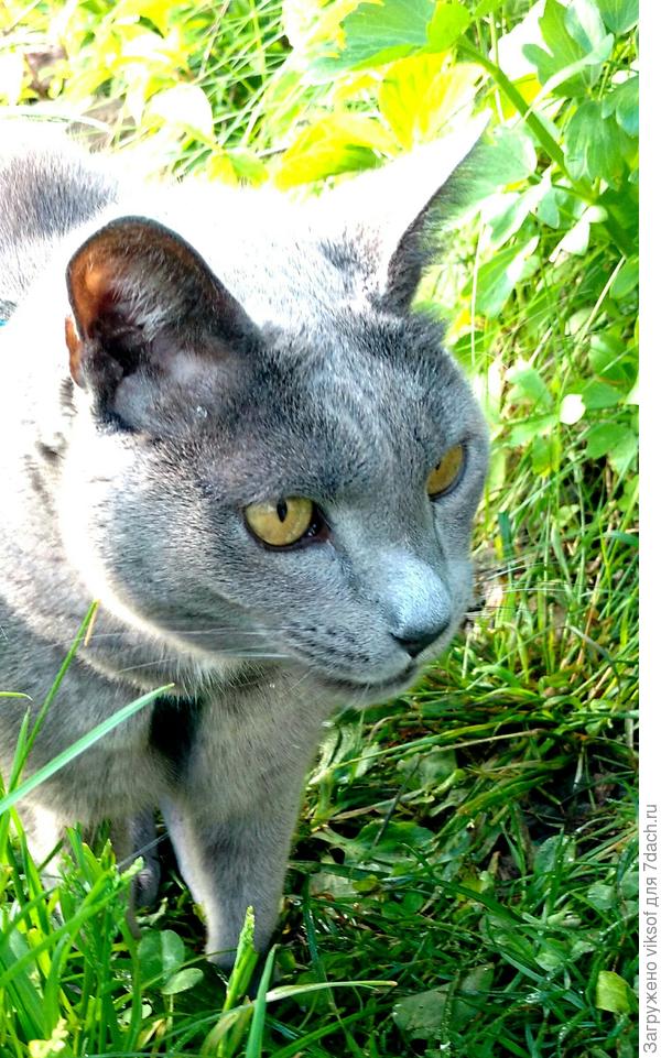 Витас им привет шлёт!