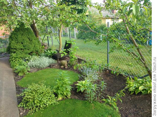 Но зато стало светлее в палисаднике