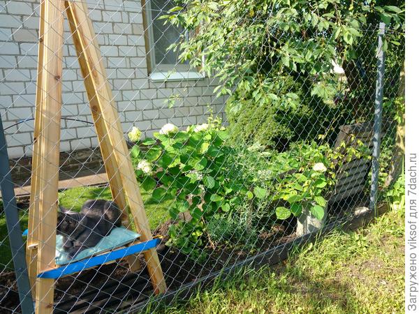 И Витас получил новый таможенный офис