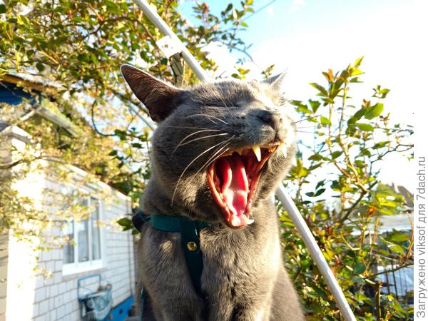 Лёвушка! А такую знаешь - из-за острова на стрежень, на проостооор речнооой волны..?