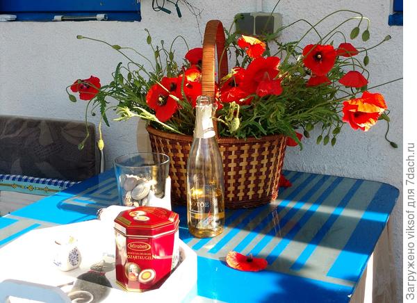 Я люблю вас, милые, славные дорогие Семидачники!