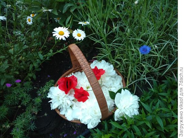 Своя то пачка не очень... Так я в корзинку