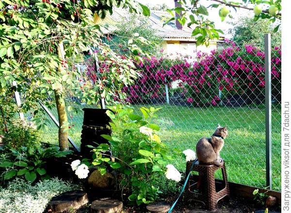 У Витаса пока только временный пост наблюдения, но новый уже выкрашен!