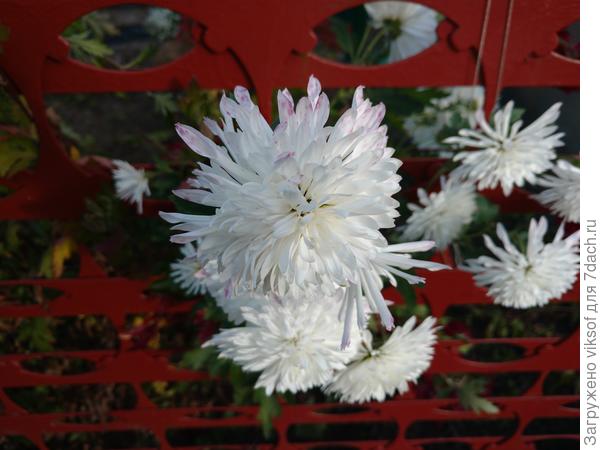 И Осень так прекрасна!