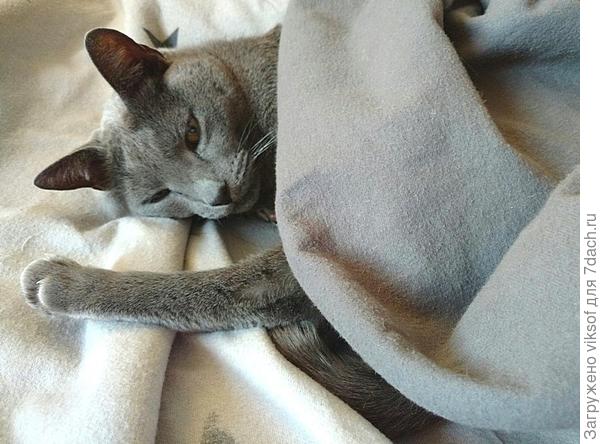 Привет от Витаса! С утра у нас холодновато, а сейчас уже 23. Тёпленько!