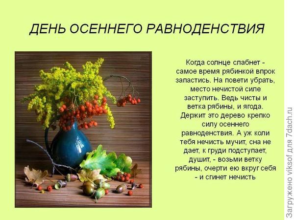 Я тоже сегодня рябины наберу, я её очень люблю, с ней можно и погрустить и песню завести...