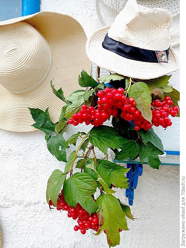 Хорошо, когда БАБЬЕ ЛЕТО встречаешь вдвоём! Берегите друг друга!