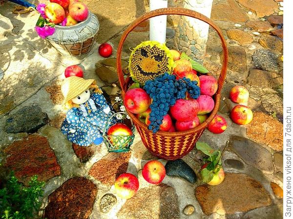 Ищите БАБЬЕ ЛЕТО? Так оно у нас в деревне Бабино, где и расположена наша дача. мы и урожай уже собрали, яблочками угощаем всех