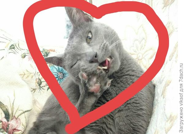 Витас тебе шлёт привет