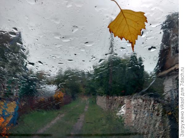 А сегодня дождь...