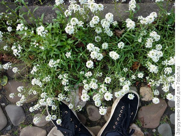 С утра надо подышать!