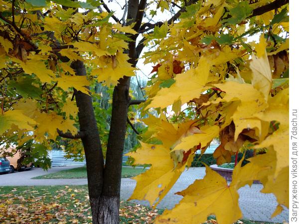 И сегодня было солнышко!