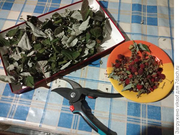 Ягодки посушу отдельно, а потом всё смешаю