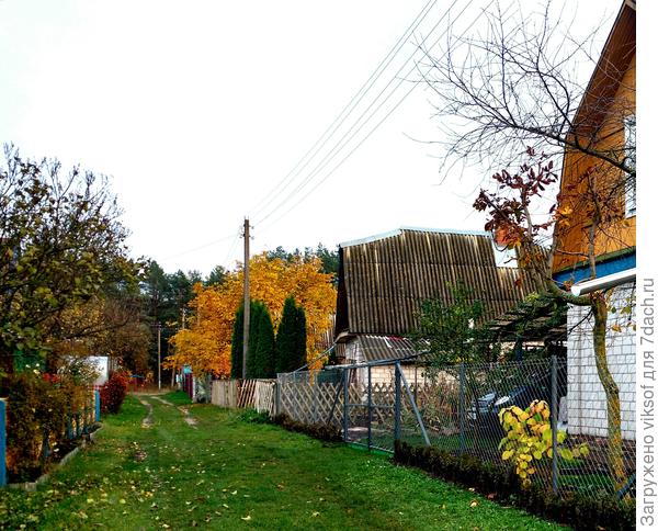 Вот по этой улочке уехали,