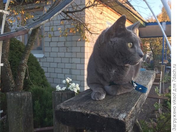 Он ждёт тебя!