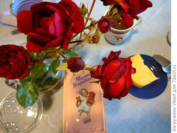 С нашей дачи для вас со Светочкой!