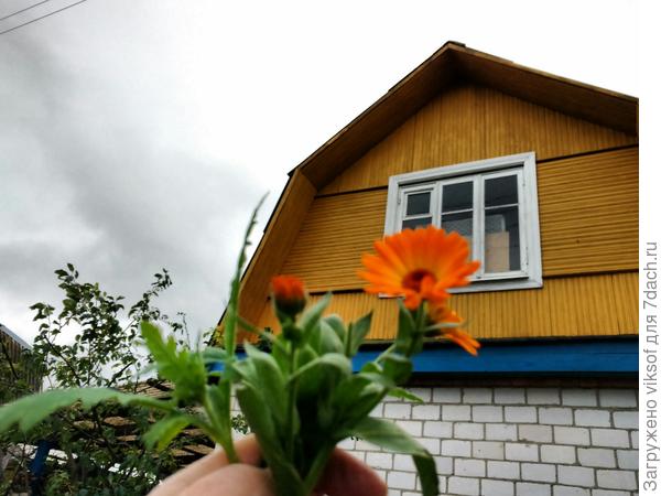 В ноябре они особенно яркие!