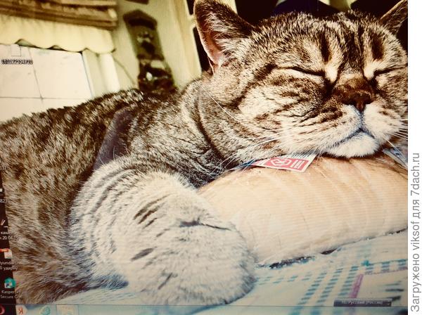 Тебе привет от дружка Витаса - Феденьки из тульской губернии