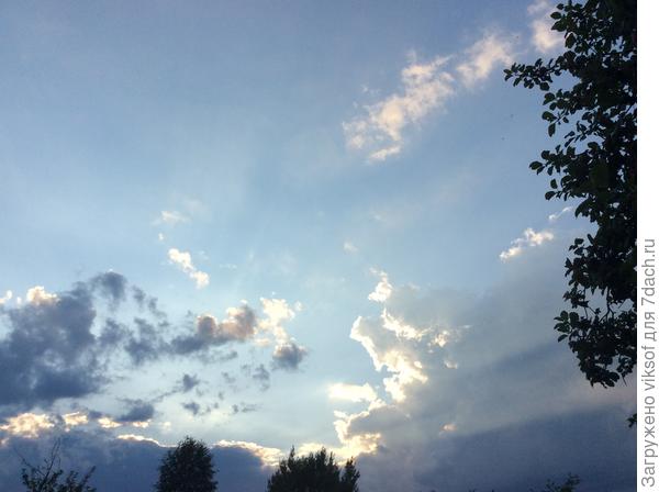 Всем нам мирного спокойного и красивого неба в следующих дачных сезонах!1