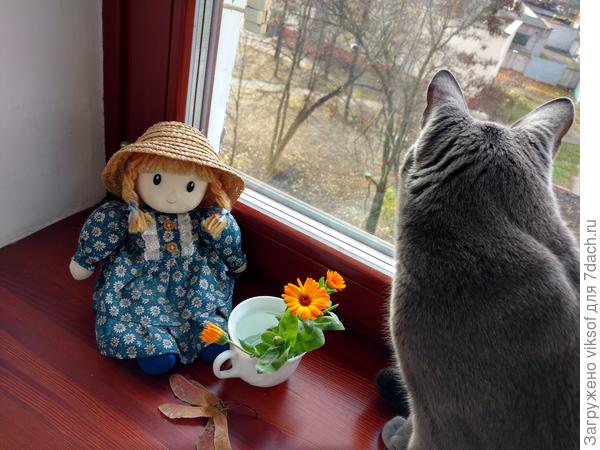 Витас хочет на дачу...