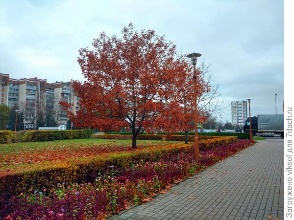 Вот он красавец!