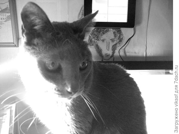 И 7+++++++ от Витаса