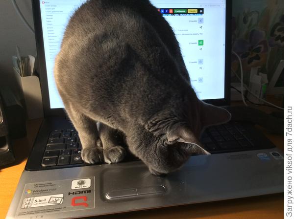 Витас ищет как отправить тебе плюсик