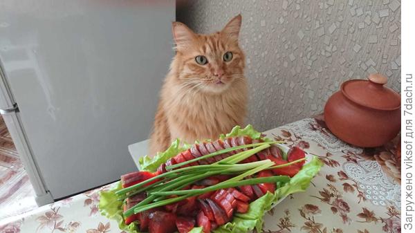 К Витасу Рыжий с Владивостока заглянул с гостинцем!