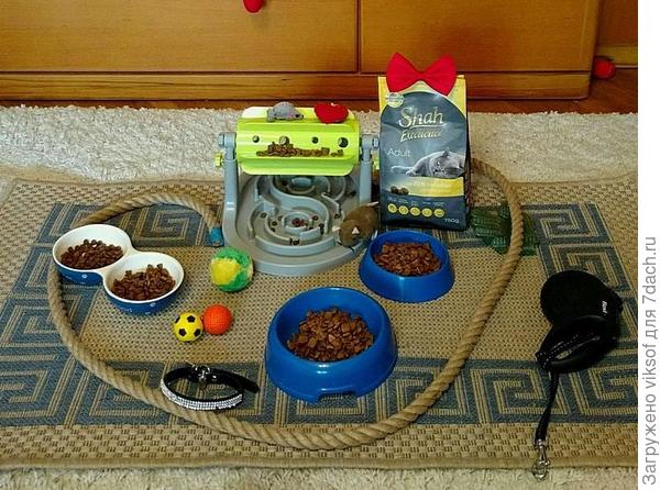 тарелочки наполнены - всех пушистиков Семидачья, прошу к столу! Кто первый?