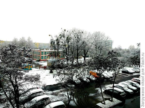 И из нашего окошка и видно Зимушки немножко!