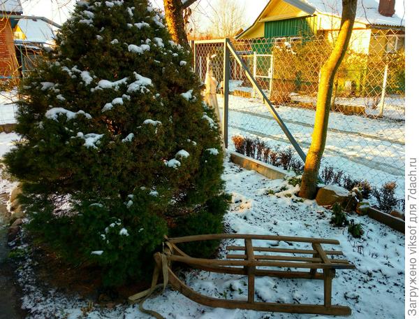 Только санки вынесла, а снег то начал таять и ... Растаял...