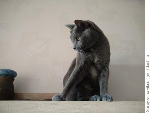 Похвалите меня, пожалуйста