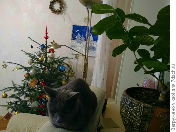 Потом плавно перейдем к Новому году, а там и православное Рождество !