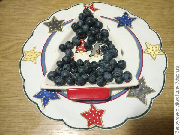 Сама удивилась, голубика моя сохранилась!