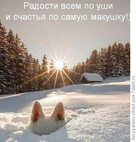 И крепкого здоровья на дооооолгие прекрасные и счастливые годы!