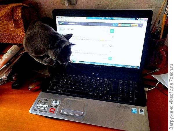 он такой - всё может