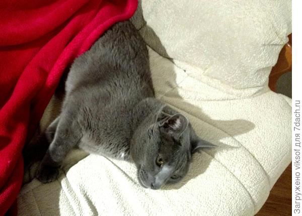 Как чувствует себя Бусинка, Витас устал от праздников...