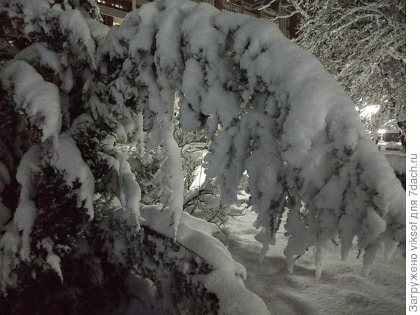 Здравствуй, гостья Зима!!!