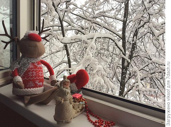 К её приходу с радостью распахнула окно лоджии!