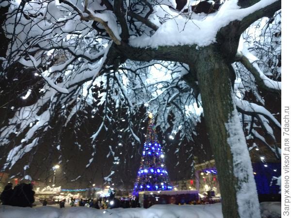 С Новым годом, Леночка, Светочка! Здоровья вам и всем вашим родненьким, любимым на доооооооооооолгие и прекрасные годы!
