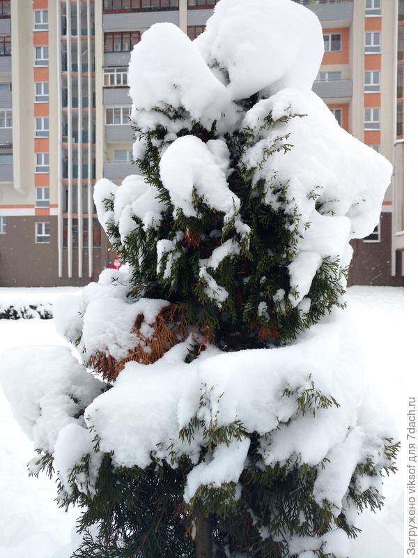 Зимние обнимашки с друзьями,